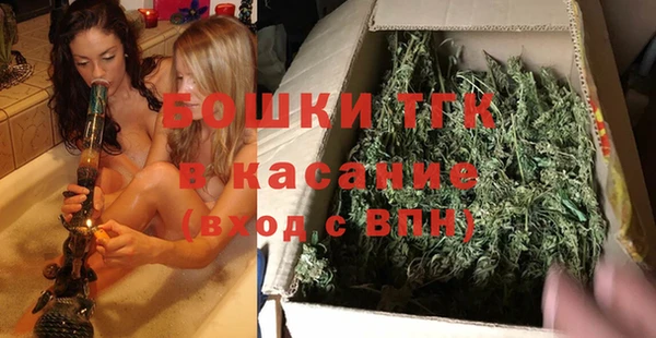 индика Белоозёрский