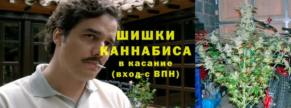 индика Белоозёрский