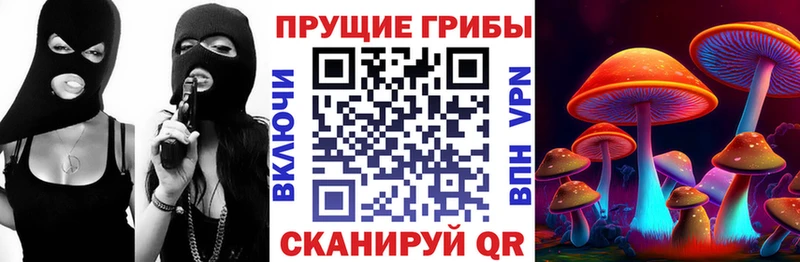 Галлюциногенные грибы ЛСД  ОМГ ОМГ маркетплейс  shop какой сайт  Кириллов 